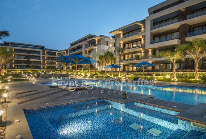 8469527 - Property Image 3