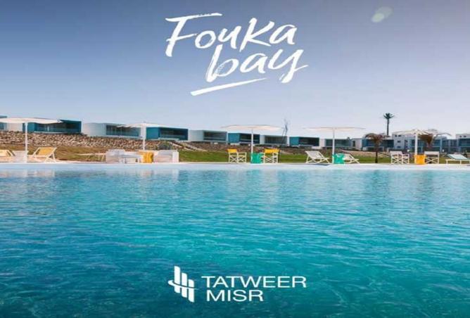 7711759 - صورة العقار 3