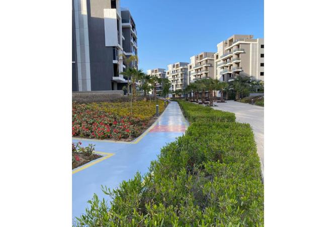 7698180 - Property Image 3