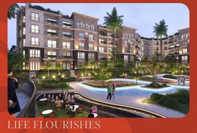 66167267 - Property Image 2