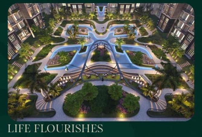 66167267 - Property Image 3