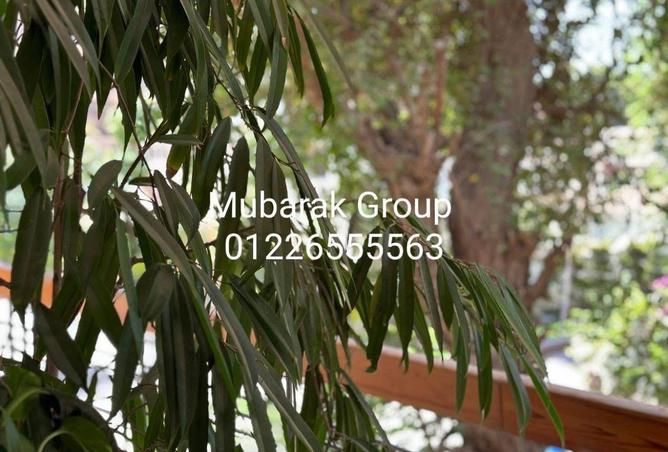 53475483 - صورة العقار 2