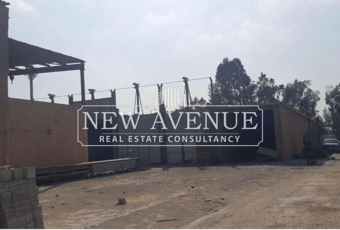 7702121 - صورة العقار 3