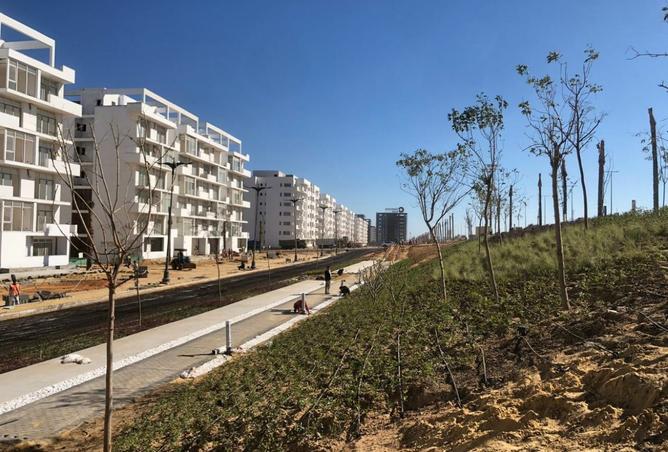 7702207 - Property Image 3