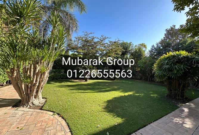 7703511 - صورة العقار 2