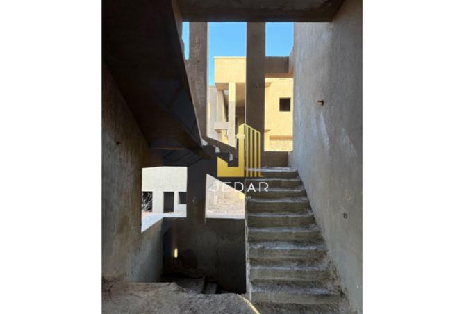 7705201 - صورة العقار 3