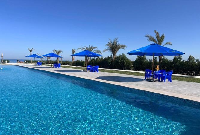 7709039 - Property Image 3