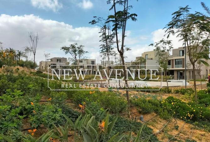 8360161 - صورة العقار 3