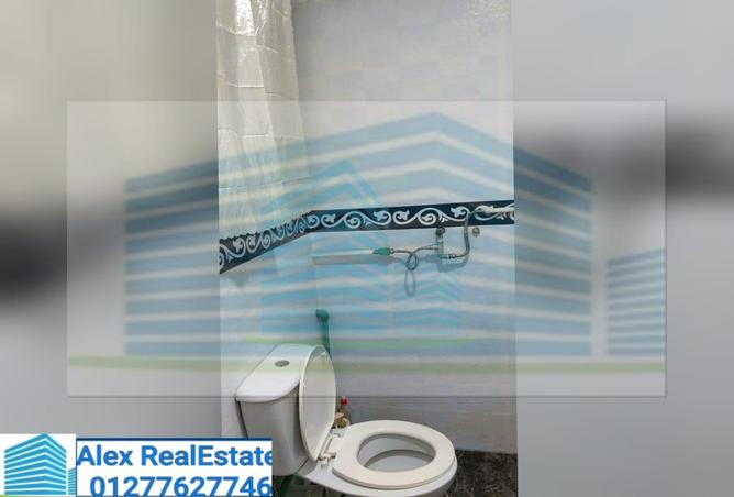 7713198 - Property Image 2