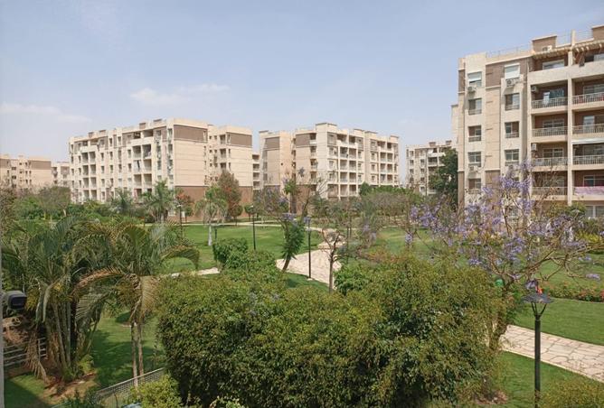 7713921 - صورة العقار 3