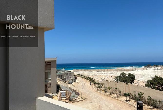 7721818 - صورة العقار 3