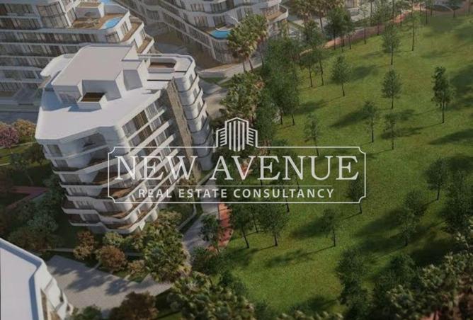 8388883 - Property Image 3