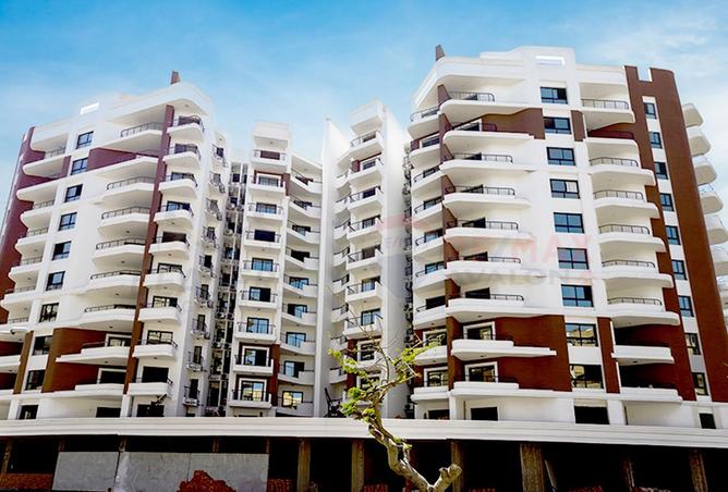 7077881 - صورة العقار 2