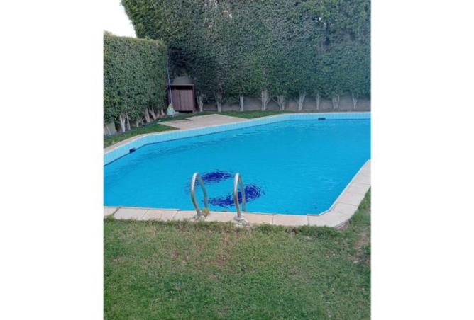 7722671 - صورة العقار 3