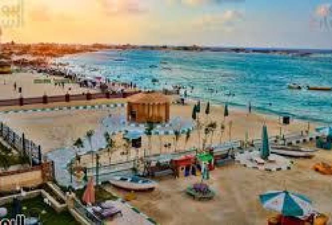 7724478 - Property Image 3