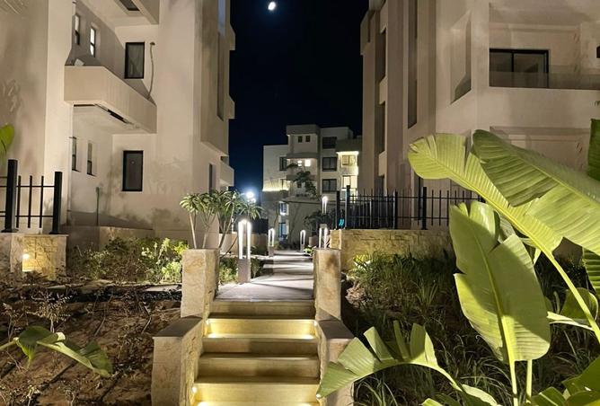 54506561 - صورة العقار 3