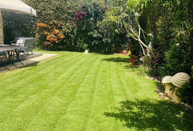 8060171 - Property Image 3