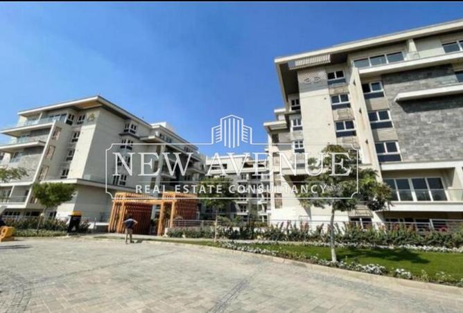 8310876 - Property Image 3