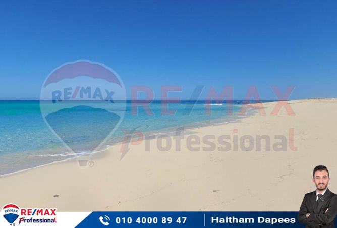 7731631 - صورة العقار 3