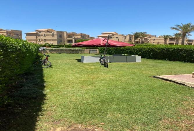 56499070 - Property Main Image