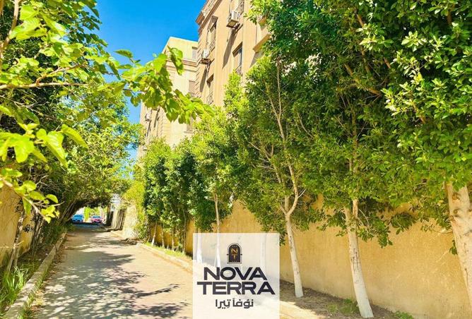 7735180 - صورة العقار 3