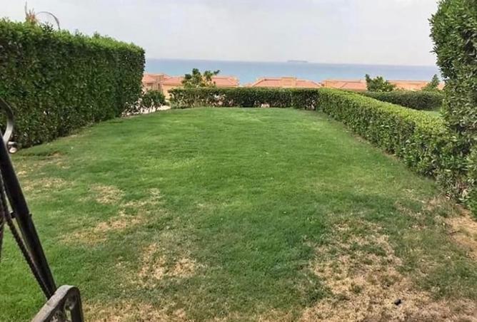 7912196 - صورة العقار 3