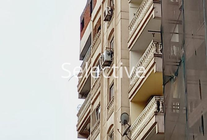 7918803 - Property Image 3