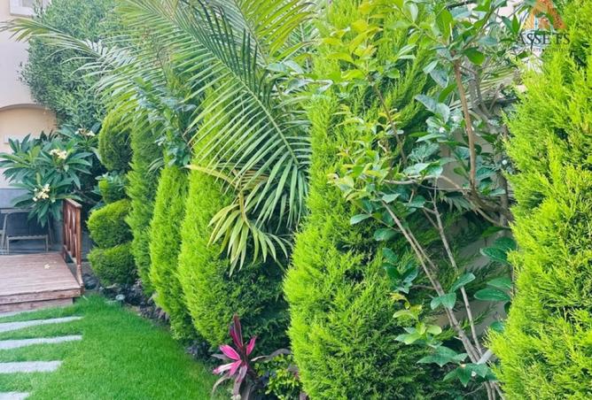 7741094 - Property Image 2