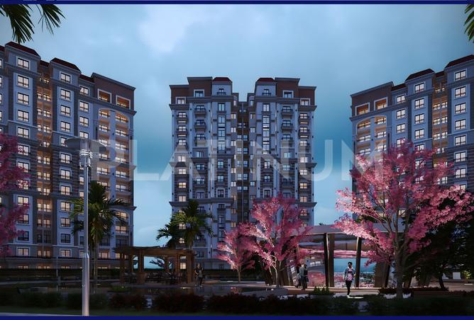 7741585 - Property Image 3