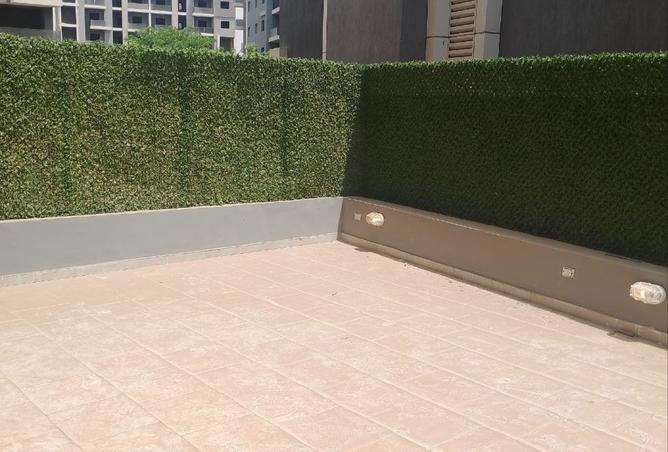 7741902 - صورة العقار 3