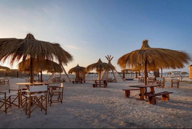 7743958 - صورة العقار 2