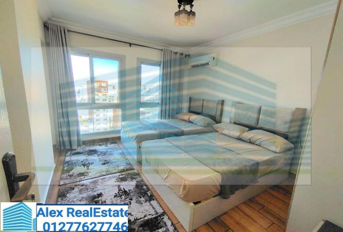 7744041 - Property Image 3