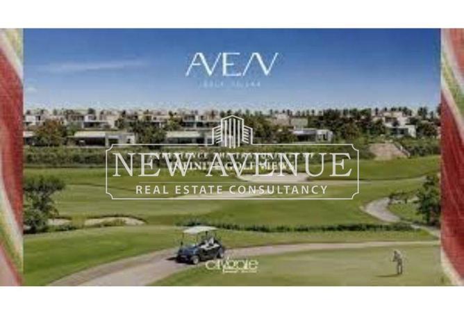 8195095 - Property Image 3