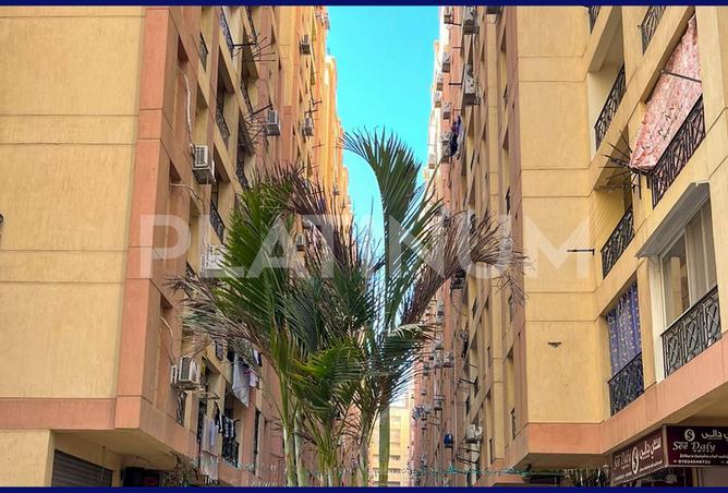 7745429 - صورة العقار 2