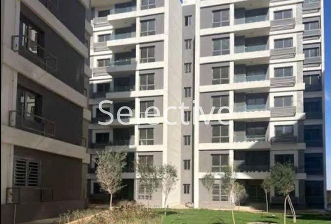 7919260 - صورة العقار 3