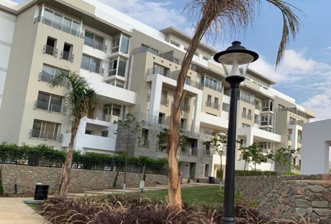 7746073 - Property Image 3