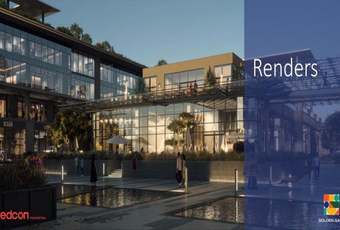 7748178 - صورة العقار 2