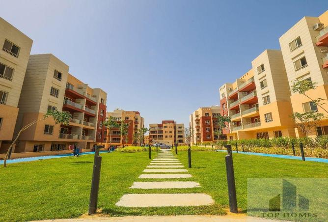 8052353 - Property Image 3