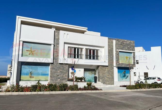 7750184 - صورة العقار 3