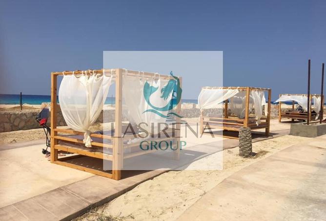 7758635 - صورة العقار 3