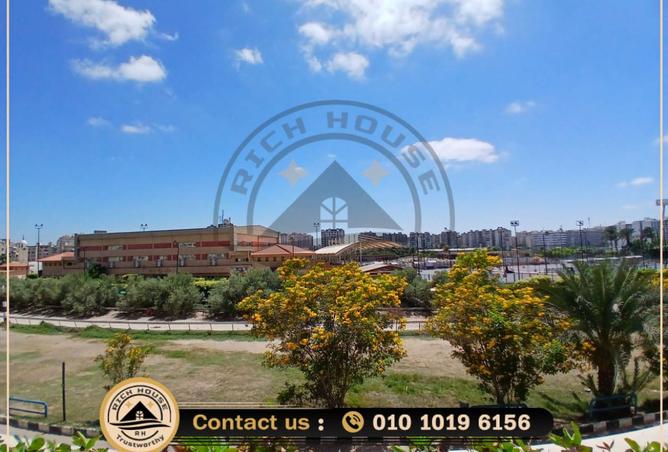 91847393 - صورة العقار 2