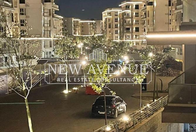 8340119 - Property Image 3