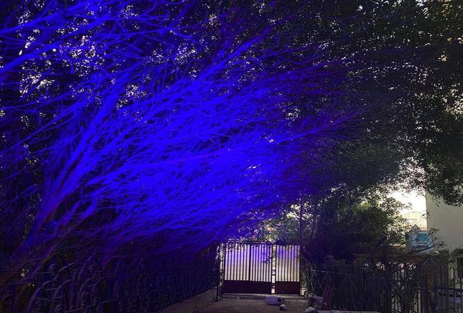 55254073 - صورة العقار 2