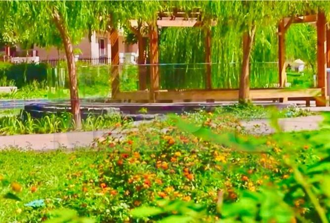 59240136 - Property Image 2