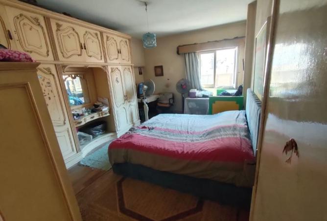 7756181 - Property Image 3