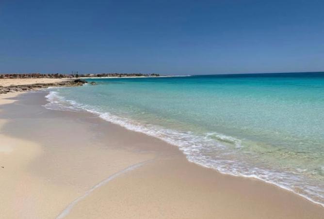 8025619 - صورة العقار 3