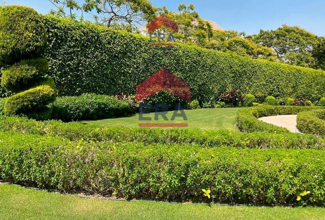 7758545 - Property Image 3