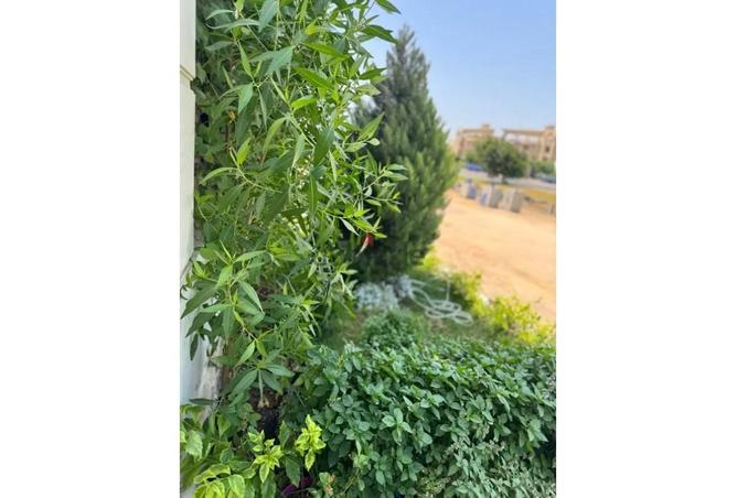 7758875 - Property Image 2