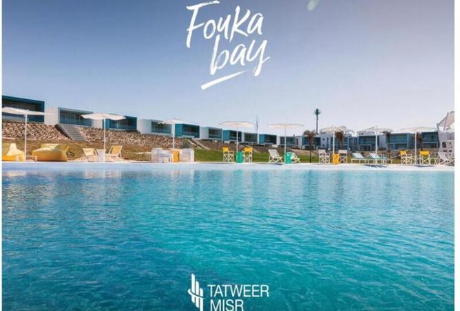 7759576 - صورة العقار 2