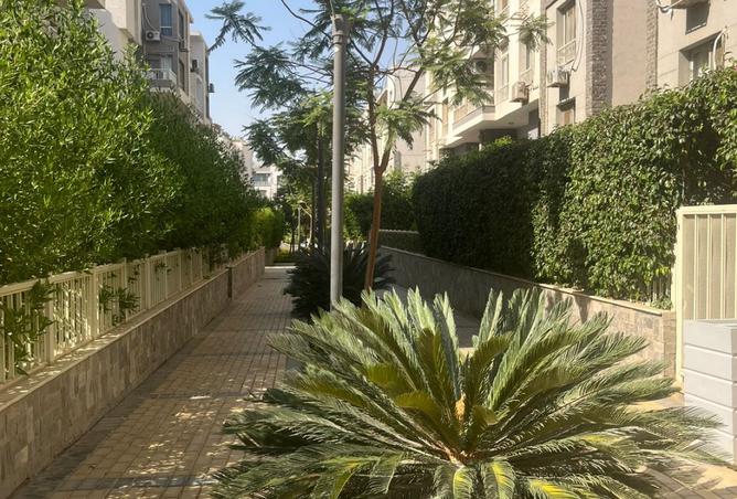 7762926 - صورة العقار 3